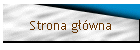 Strona główna